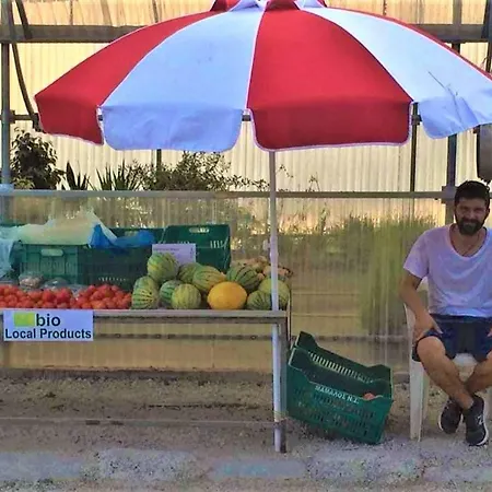 Stone House Platon Άγιος Ματθαίος
